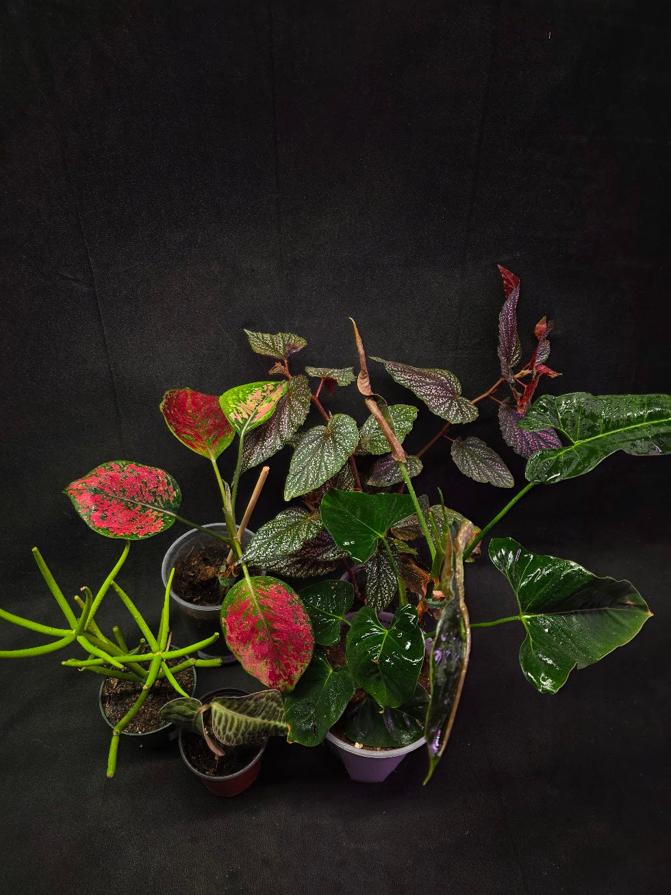 Assorted Blowout Box #01 - SPECIAL PRICING!